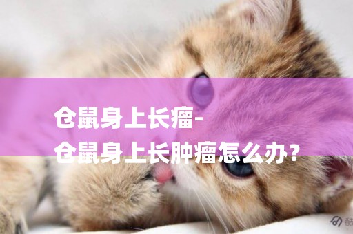 倉鼠身上長瘤-
倉鼠身上長腫瘤怎么辦？