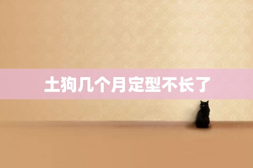 土狗幾個月定型不長了