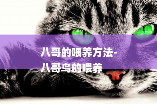 八哥的喂養方法-
八哥鳥的喂養