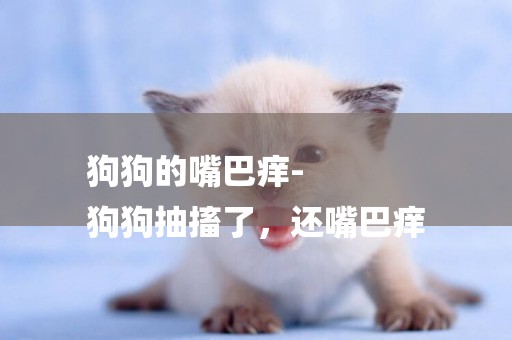 狗狗的嘴巴癢-
狗狗抽搐了，還嘴巴癢
