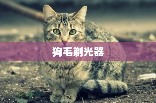 狗毛剃光器