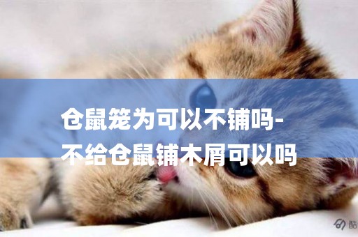 倉鼠籠為可以不鋪嗎-
不給倉鼠鋪木屑可以嗎
