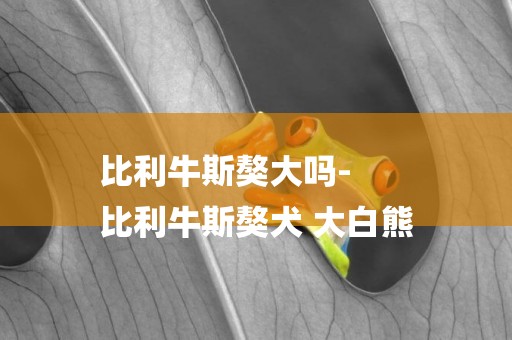 比利牛斯獒大嗎-
比利牛斯獒犬 大白熊