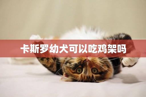 卡斯羅幼犬可以吃雞架嗎