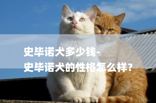 史畢諾犬多少錢-
史畢諾犬的性格怎么樣？