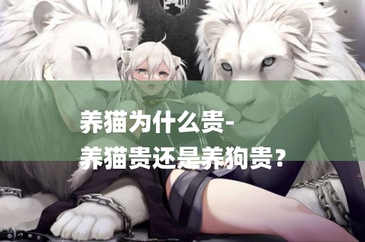養貓為什么貴-
養貓貴還是養狗貴？