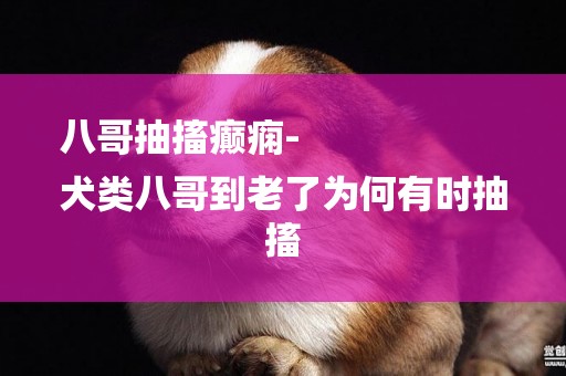 八哥抽搐癲癇-
犬類八哥到老了為何有時抽搐