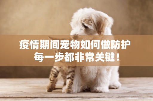 疫情期間寵物如何做防護 每一步都非常關鍵！