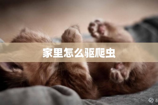 家里怎么驅爬蟲