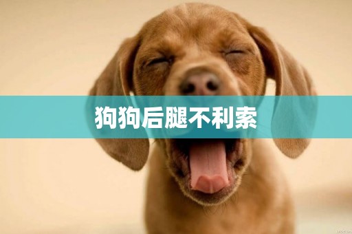 狗狗后腿不利索