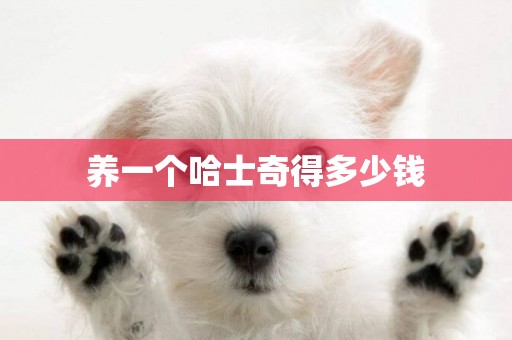 養一個哈士奇得多少錢