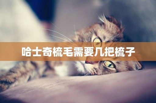 哈士奇梳毛需要幾把梳子