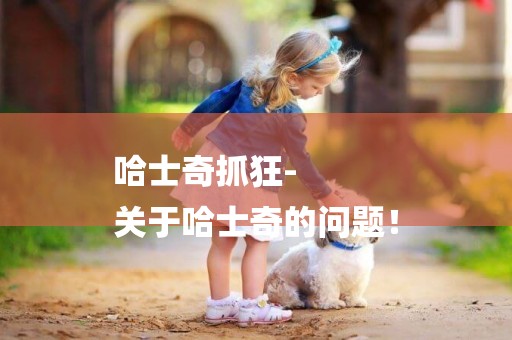 哈士奇抓狂-
關于哈士奇的問題！