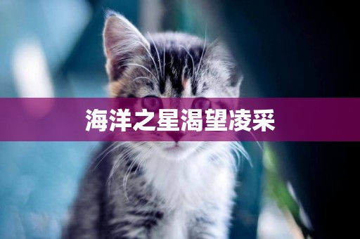 海洋之星渴望凌采