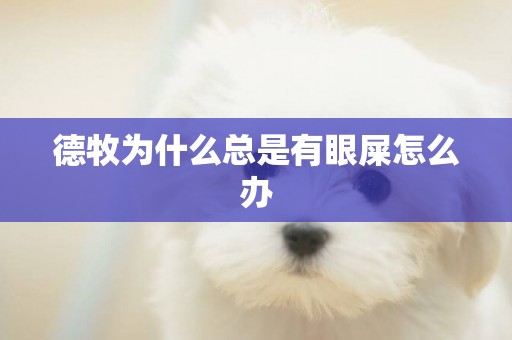 德牧為什么總是有眼屎怎么辦