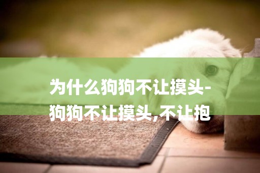 為什么狗狗不讓摸頭-
狗狗不讓摸頭,不讓抱