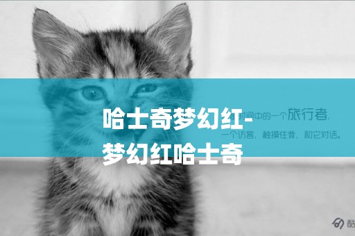 哈士奇夢幻紅-
夢幻紅哈士奇