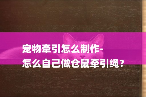 寵物牽引怎么制作-
怎么自己做倉鼠牽引繩？