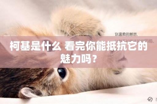 柯基是什么 看完你能抵抗它的魅力嗎？