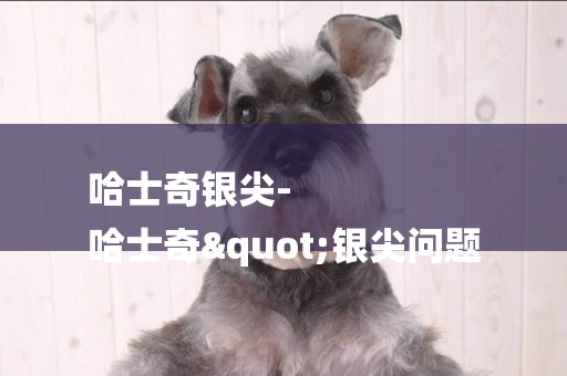 哈士奇銀尖-
哈士奇"銀尖問題