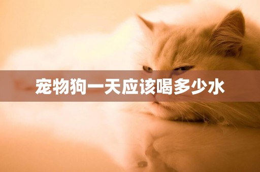 寵物狗一天應該喝多少水