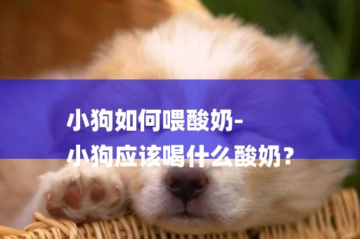 小狗如何喂酸奶-
小狗應該喝什么酸奶？