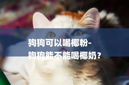 狗狗可以喝椰粉-
狗狗能不能喝椰奶？
