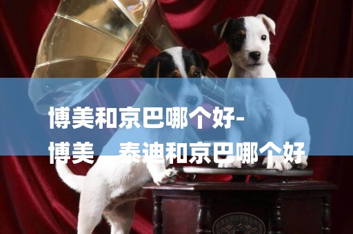 博美和京巴哪個好-
博美，泰迪和京巴哪個好