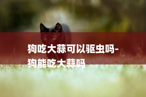 狗吃大蒜可以驅蟲嗎-
狗能吃大蒜嗎