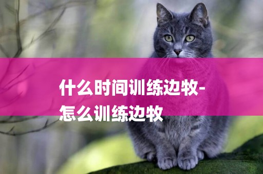 什么時間訓練邊牧-
怎么訓練邊牧