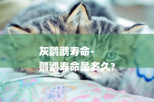灰鸚鵡壽命-
鸚鵡壽命是多久?