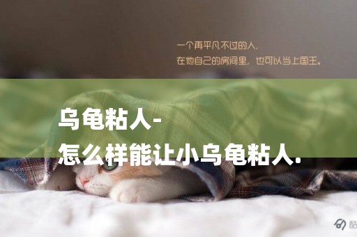 烏龜粘人-
怎么樣能讓小烏龜粘人.