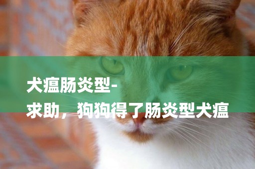 犬瘟腸炎型-
求助，狗狗得了腸炎型犬瘟