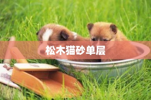 松木貓砂單層
