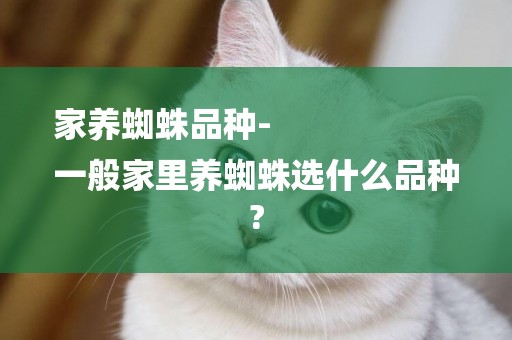 家養蜘蛛品種-
一般家里養蜘蛛選什么品種?