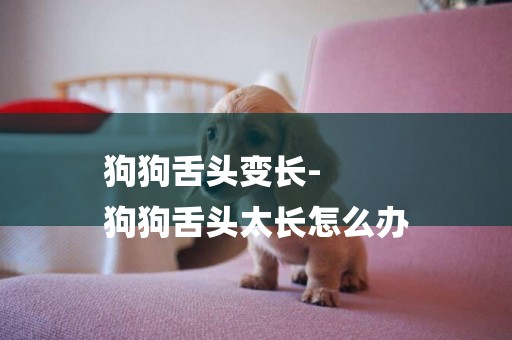 狗狗舌頭變長-
狗狗舌頭太長怎么辦