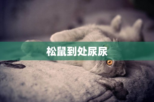 松鼠到處尿尿