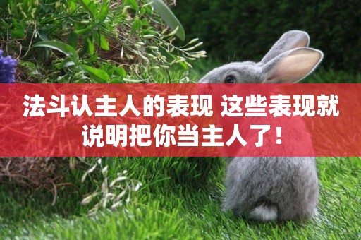 法斗認主人的表現 這些表現就說明把你當主人了！
