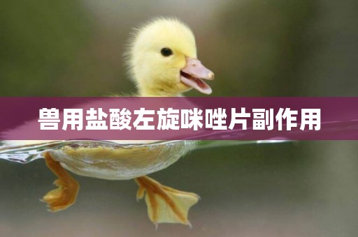 獸用鹽酸左旋咪唑片副作用