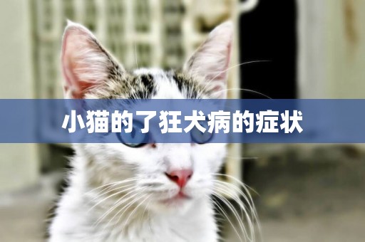 小貓的了狂犬病的癥狀
