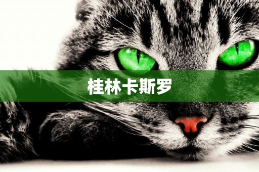 桂林卡斯羅