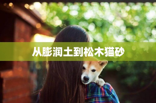 從膨潤土到松木貓砂