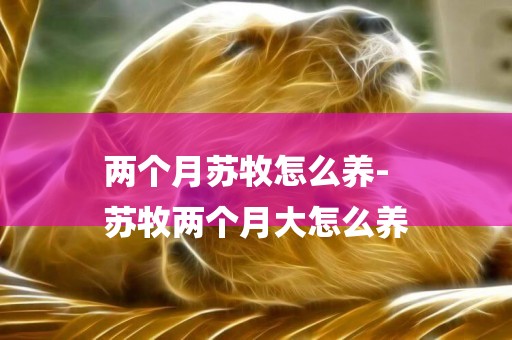 兩個月蘇牧怎么養-
蘇牧兩個月大怎么養