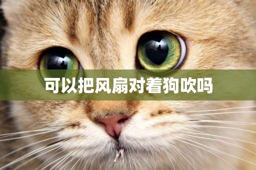 可以把風扇對著狗吹嗎