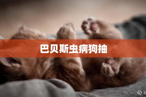 巴貝斯蟲病狗抽