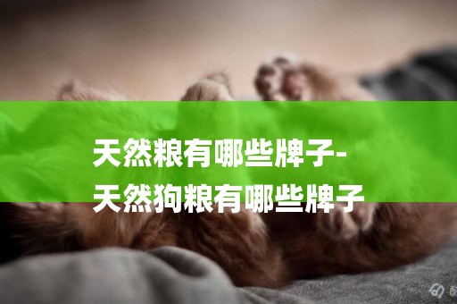 天然糧有哪些牌子-
天然狗糧有哪些牌子