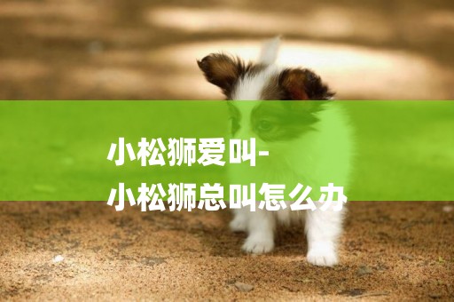 小松獅愛叫-
小松獅總叫怎么辦