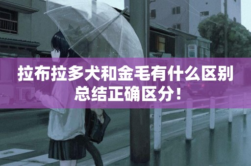 拉布拉多犬和金毛有什么區別 總結正確區分！