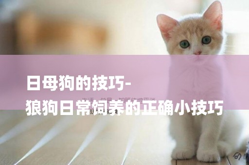 日母狗的技巧-
狼狗日常飼養的正確小技巧