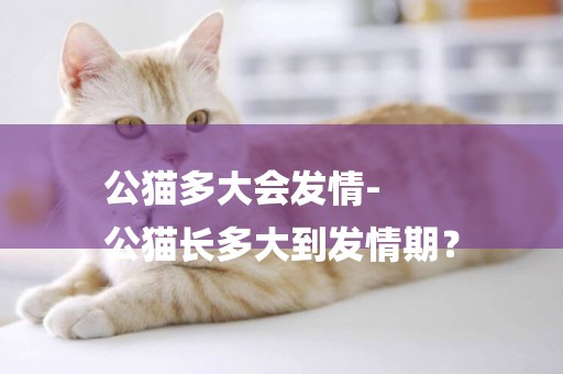 公貓多大會發情-
公貓長多大到發情期？